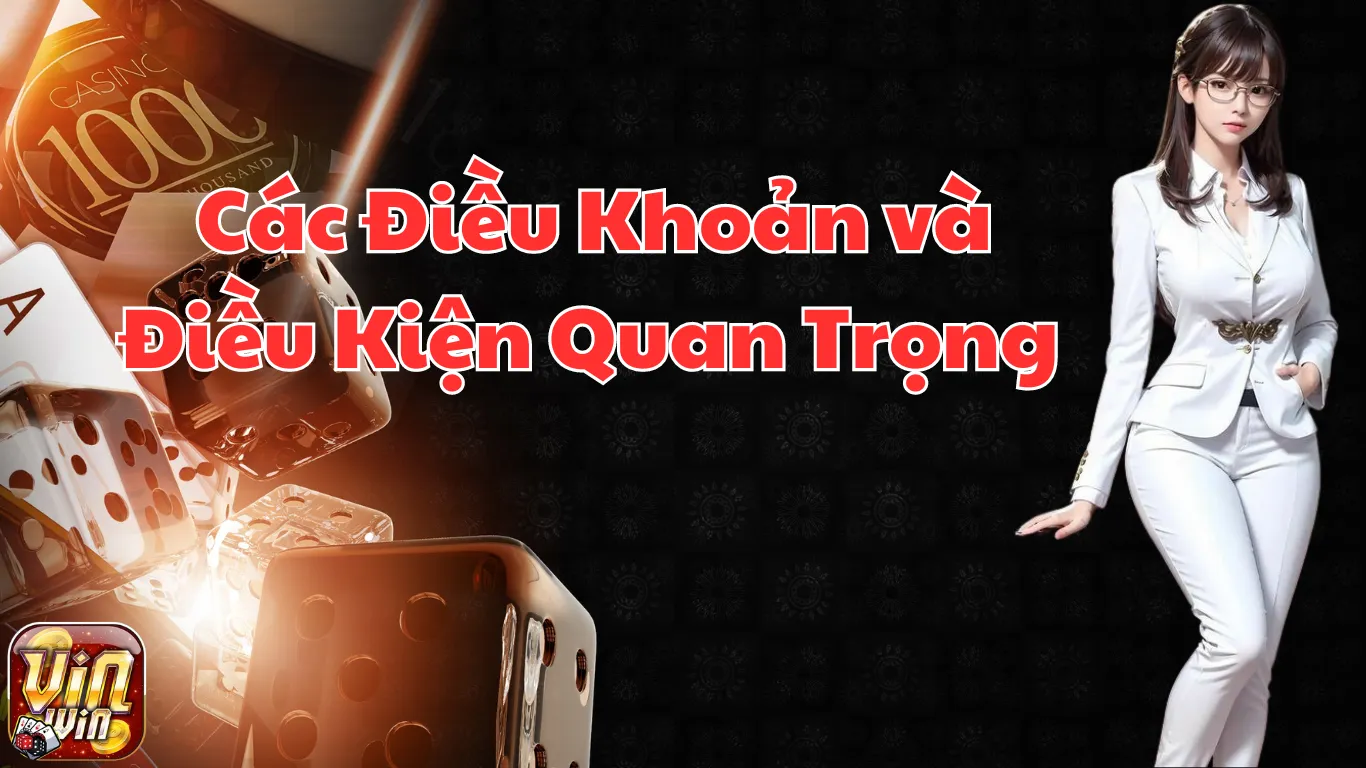 Các Điều Khoản và Điều Kiện Quan Trọng của Vinwin